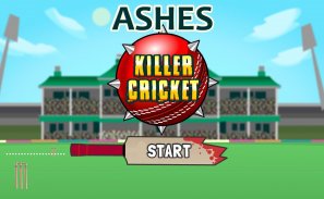 Ashes Killer Cricket screenshot 0