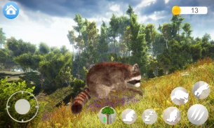 Talking Raccoon screenshot 6