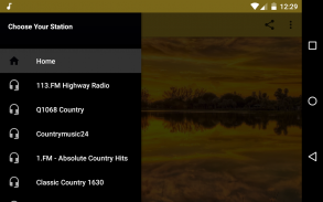 USA Country Radio screenshot 1