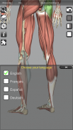 3D Anatomy Lite screenshot 1