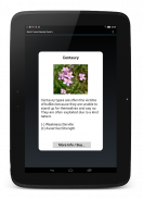 Bach Flower Remedy Browser screenshot 2