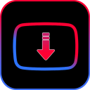 Video Downloader - Story Saver