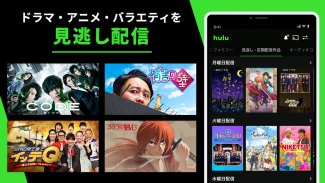 Hulu / フールー　人気ドラマ・映画・アニメなどが見放題 screenshot 9