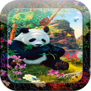 Panda Paradise Live Wallpaper Icon