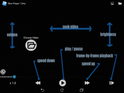 Slow motion/Frame Player screenshot 0