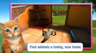 宠物世界 - 我的动物救援 screenshot 0