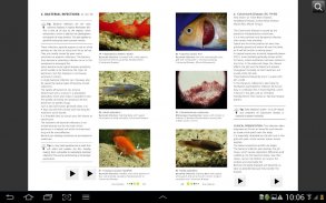 Fish Diseases screenshot 17