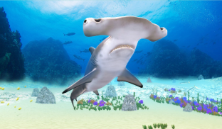 The Hammerhead Shark screenshot 14