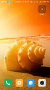 Seashell wallpaper HD screenshot 1