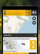 Spot-a-Bee  | SPOTTERON screenshot 1