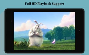 Fast Player - Full HD Video Player screenshot 14