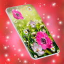 Pink Flower Live Wallpaper Icon