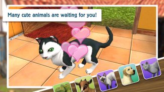 Pet World - My animal shelter screenshot 4