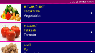 Learn Tamil From English Pro screenshot 5