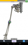 Visual Bones screenshot 9