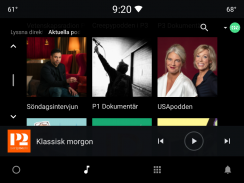 Sveriges Radio Play screenshot 0