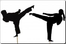 Taekwondo Basic Technique screenshot 7