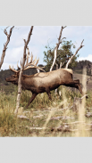 North American Elk screenshot 9