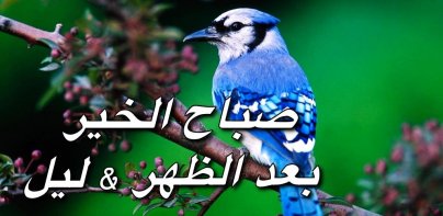 من صباح الخير الى ليلة الحب