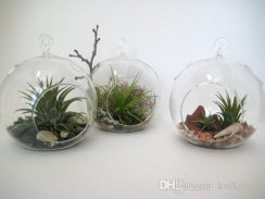 Terrarium plant design screenshot 4