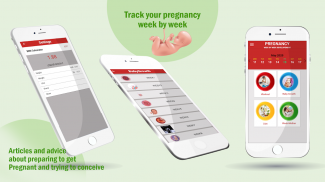 Pregnancy Care Tips screenshot 6