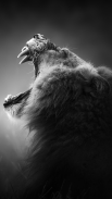 λιοντάρι ταπετσαρία screenshot 0