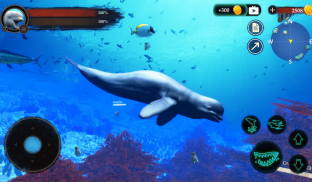 The Beluga Whale screenshot 6