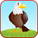 Bird Sounds Fun Learning Games - Coloring & Puzzle