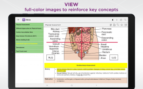 RNotes screenshot 1