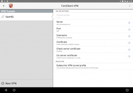 FortiClient VPN screenshot 4