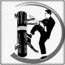 wing chun practice Icon