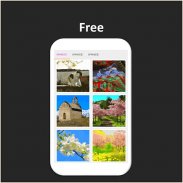 Color by Number - spring screenshot 7