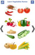 Learn Vegetables Name screenshot 5
