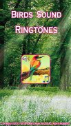 Birds Sound Ringtones screenshot 1