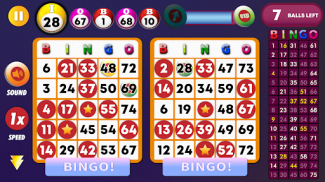 Bingo Classic Game - Offline screenshot 2