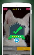 स्क्रैच कार्ड: जानवरों screenshot 9