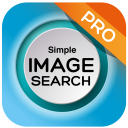 search by image on web Icon