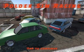 Poldek Sim Racing screenshot 1