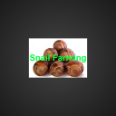 Learn Snail Farming