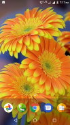 Beautiful Flowers HD Wallpaper screenshot 2