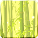 Bamboo Forest Live Wallpaper