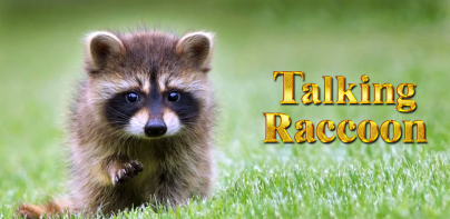 Talking Raccoon