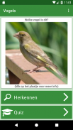 Vogels screenshot 11