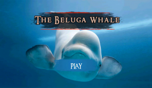 The Beluga Whale screenshot 20