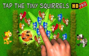 Tap the Squirrel HD Pro screenshot 1