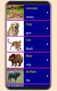 Learn English From Hindi screenshot 10