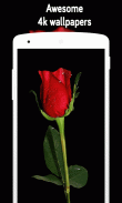 Rose Wallpaper (4k) screenshot 4