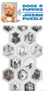 Dogs & Puppies Puzzles screenshot 3