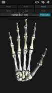 Sistema Oseo en 3D (anatomía) screenshot 3