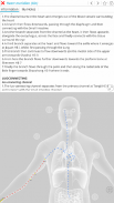 Visual Acupuncture 3D screenshot 1